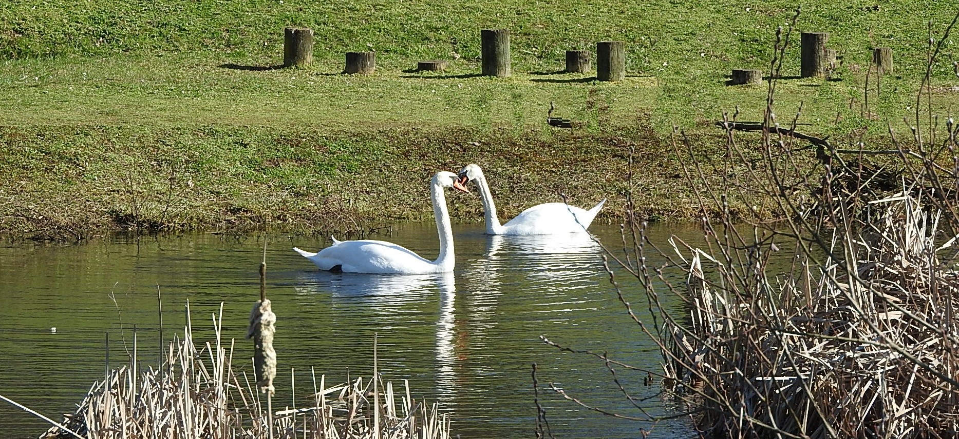 Parc a l oiseau 2021 16 