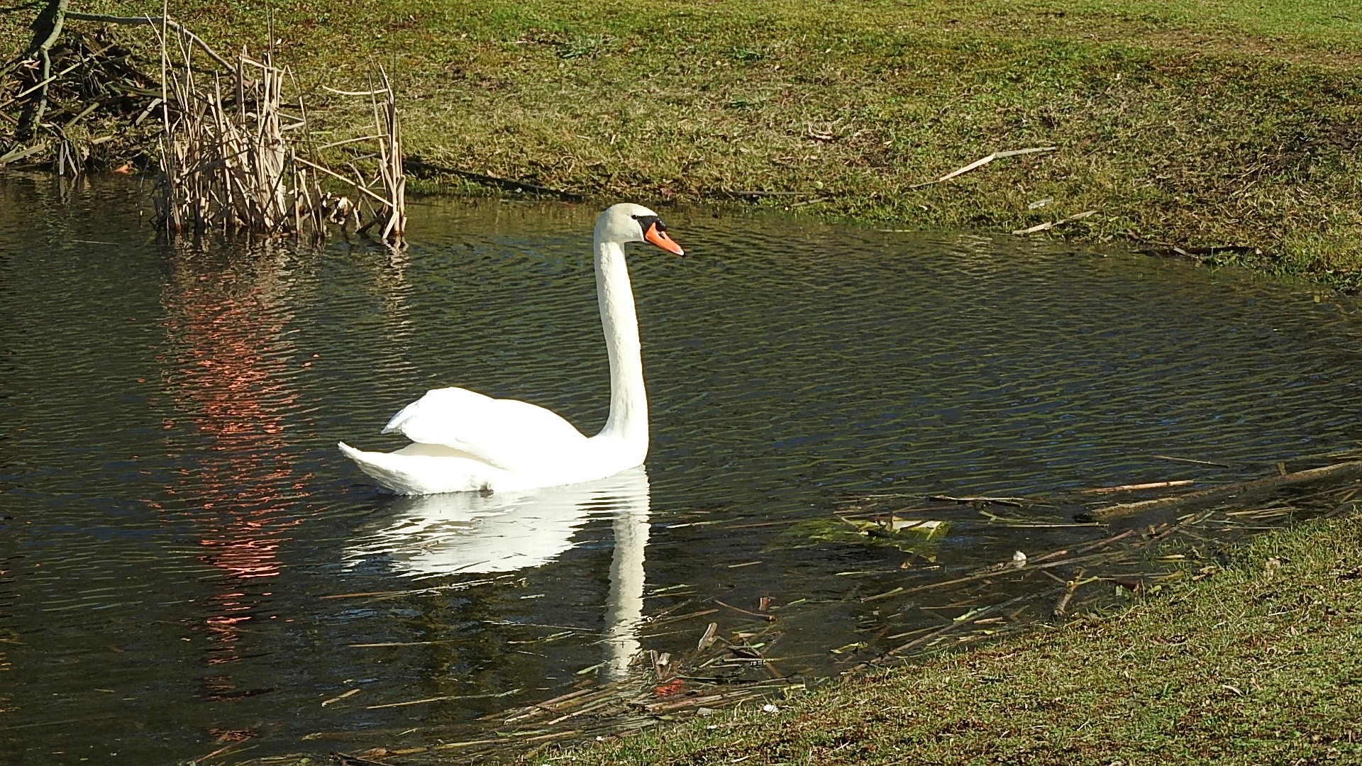 Parc a l oiseau 2021 17 
