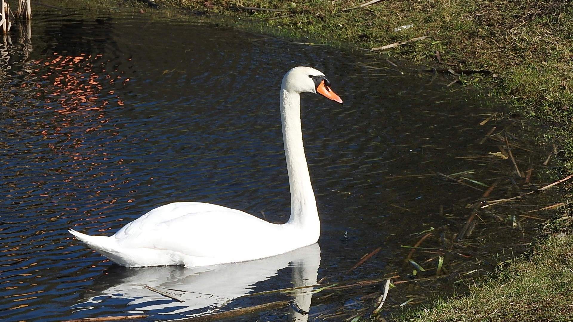 Parc a l oiseau 2021 18 
