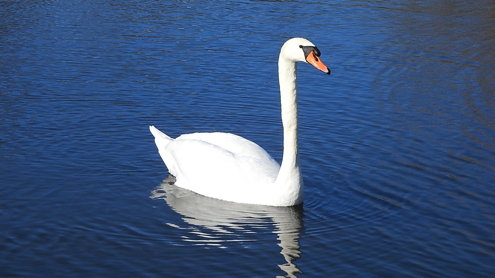 Parc a l oiseau 2021 20 
