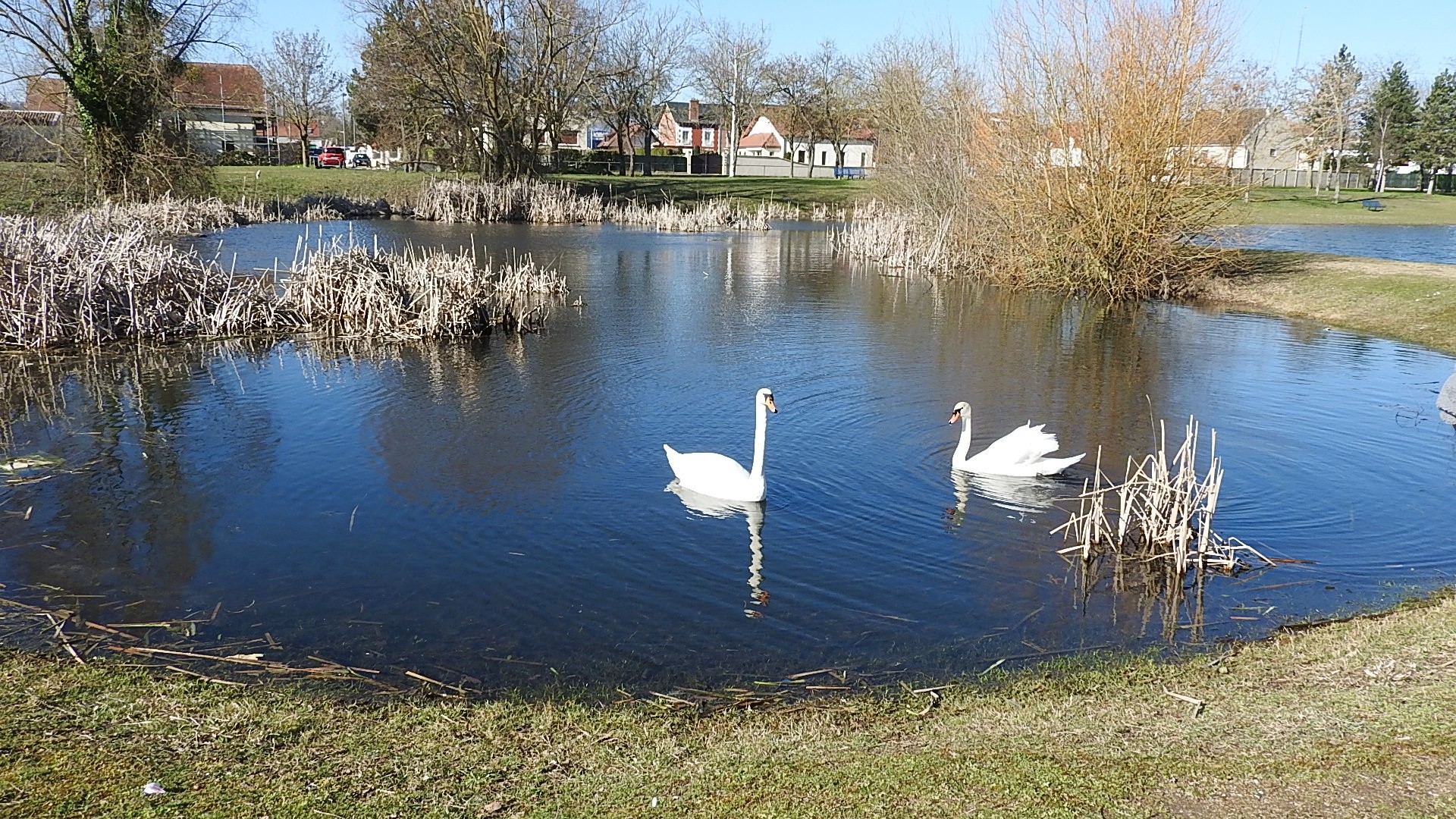Parc a l oiseau 2021 21 