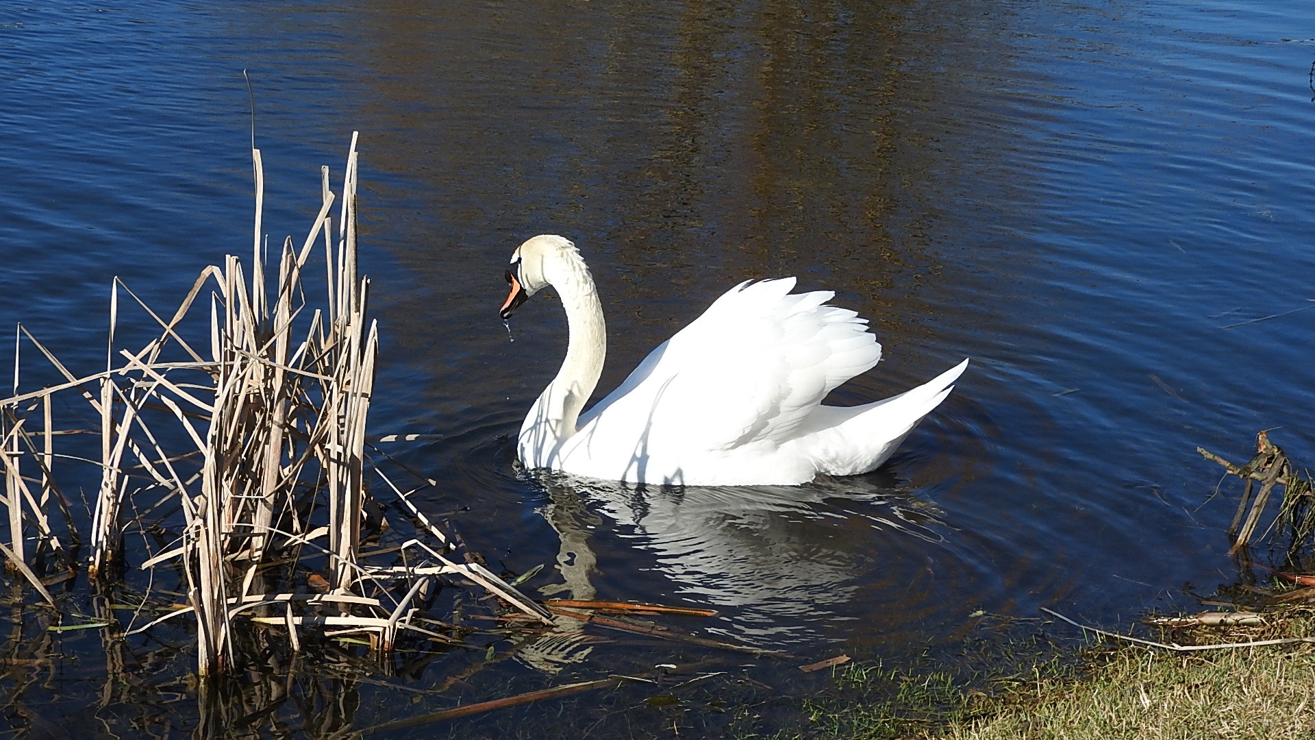 Parc a l oiseau 2021 22 
