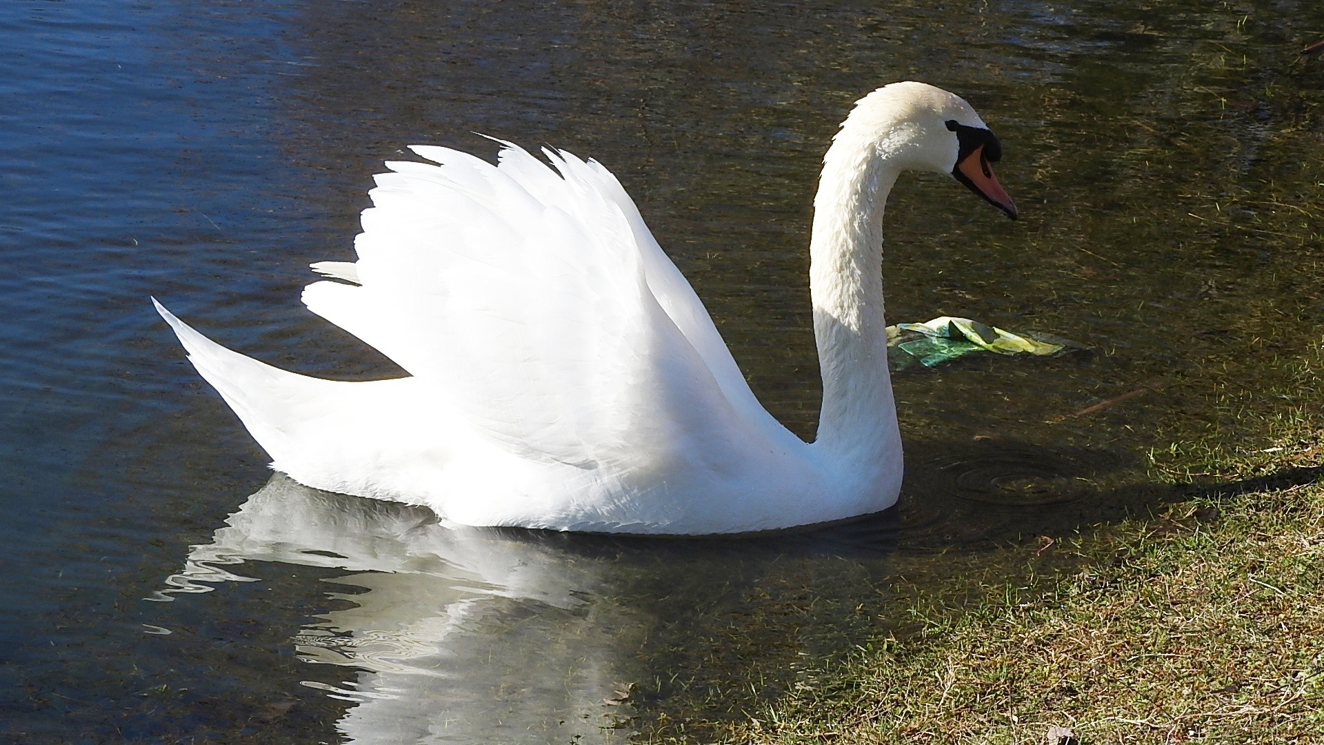 Parc a l oiseau 2021 23 
