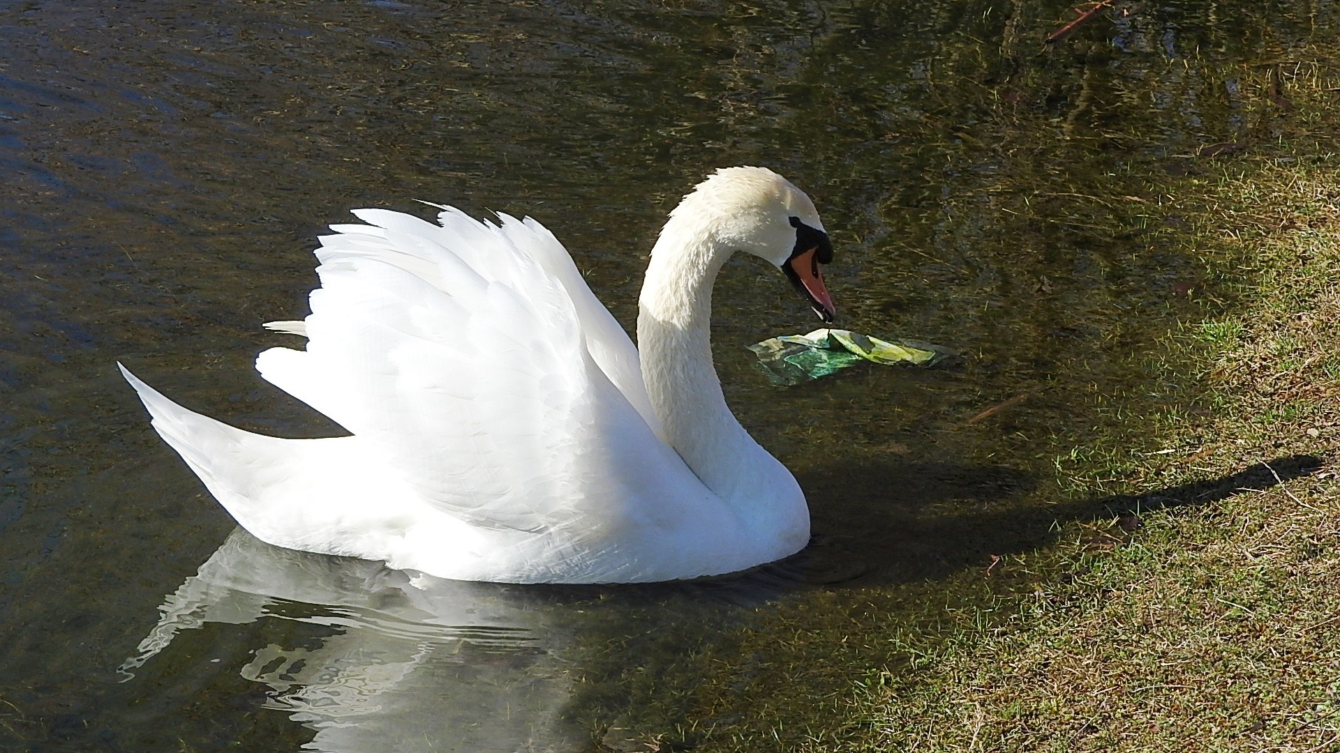 Parc a l oiseau 2021 24 