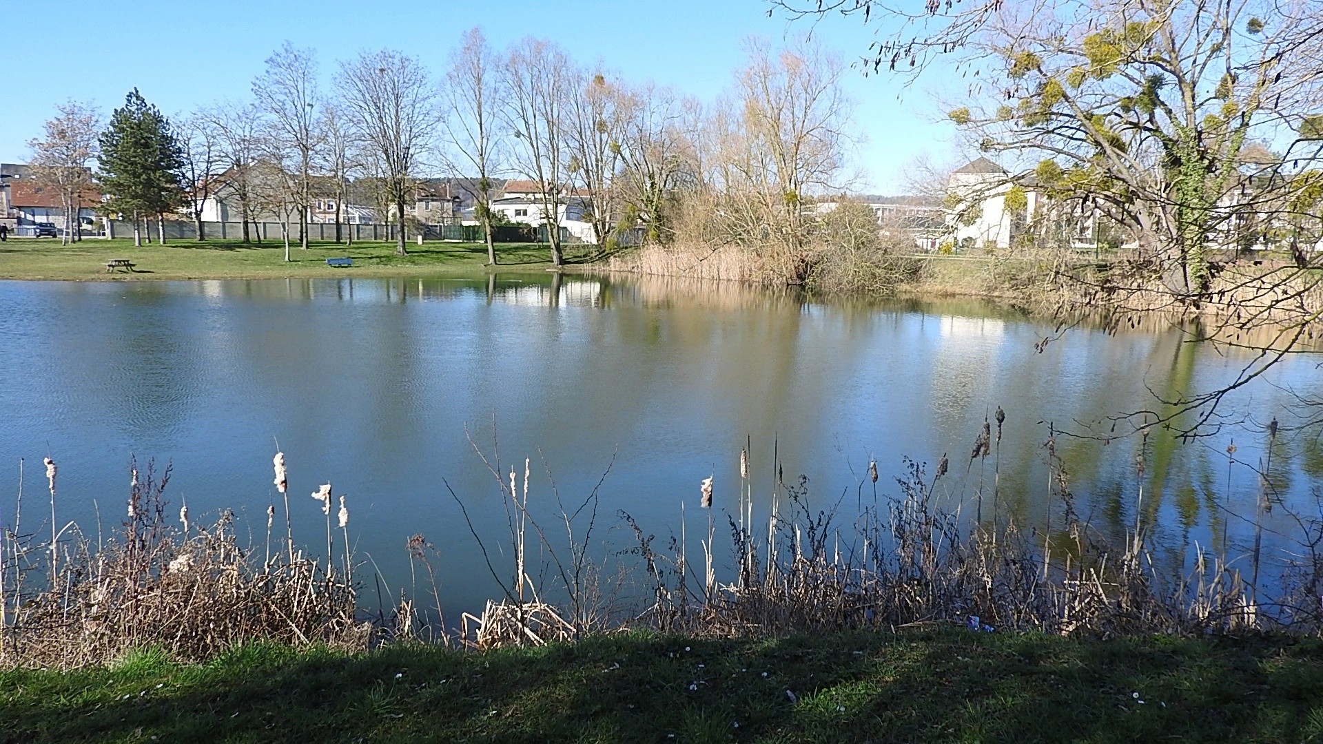 Parc a l oiseau 2021 26 