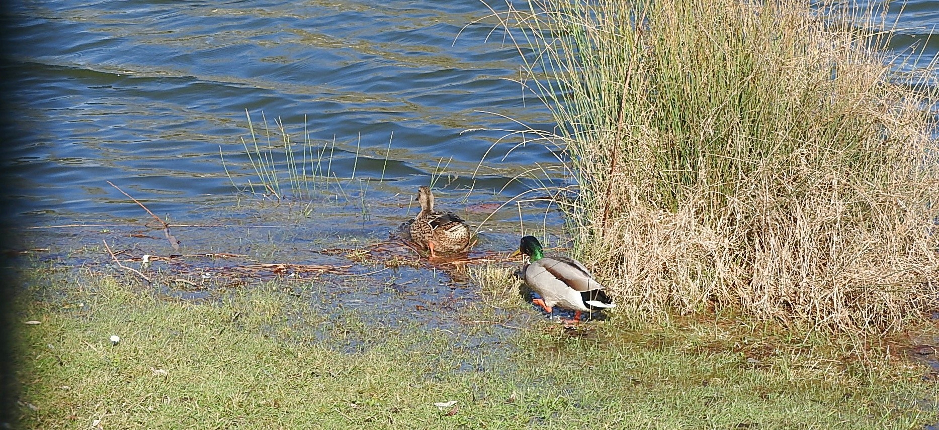 Parc a l oiseau 2021 9 