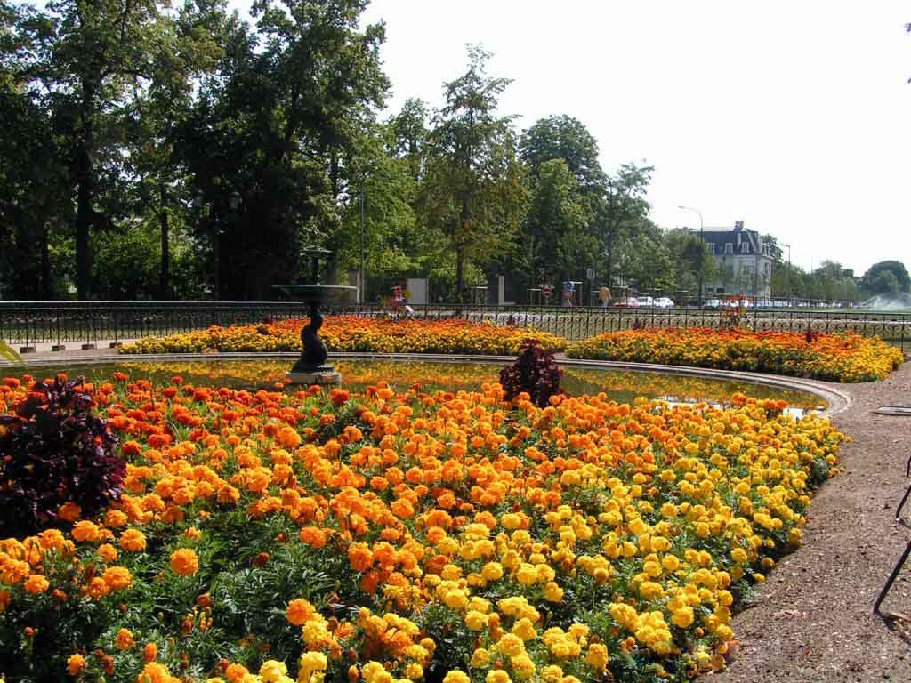 Parc de Maisons-Laffitte