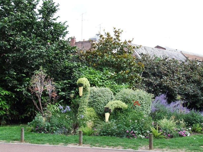 Petit coin de verdure