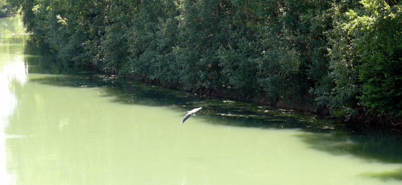 Randonnée canoë sur l'Aisne 28062015  (27)
