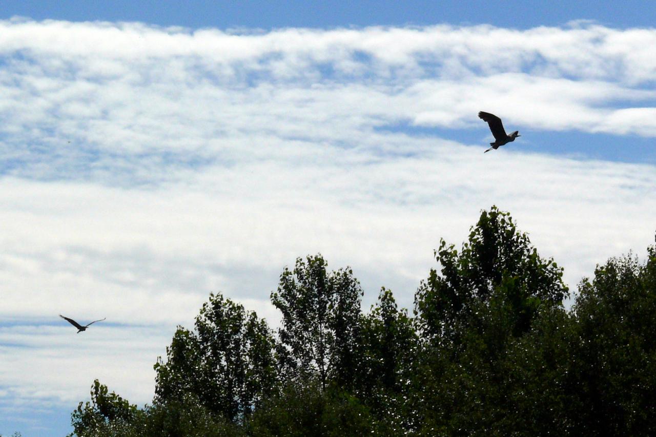 Randonnée canoë sur l'Aisne 28062015  (29)