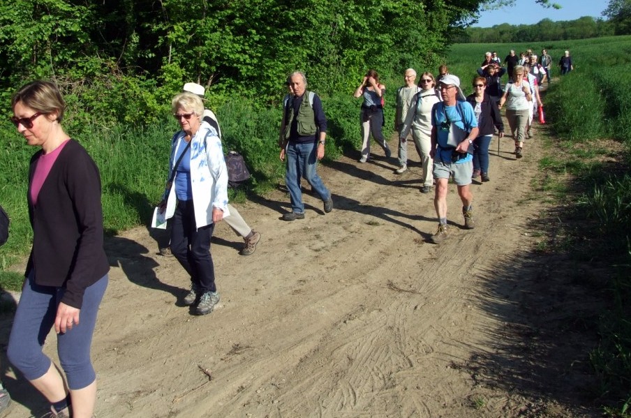 Randonnée intercommule du Val de l'Aisne 2018 (50)