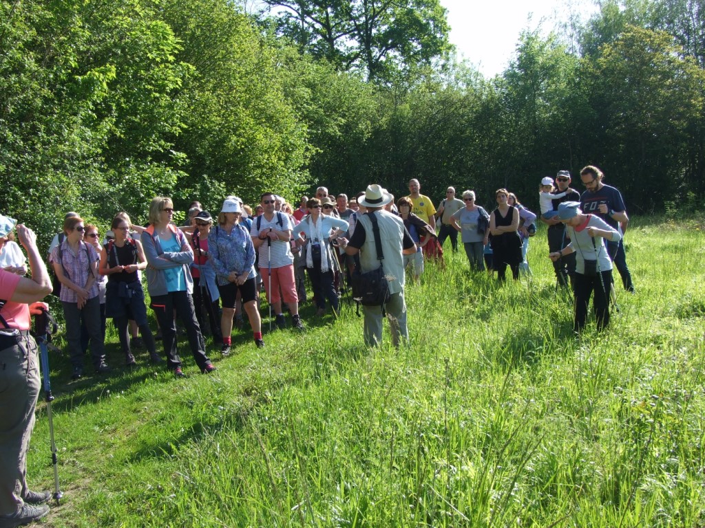 Randonnée intercommule du Val de l'Aisne 2018 (55)