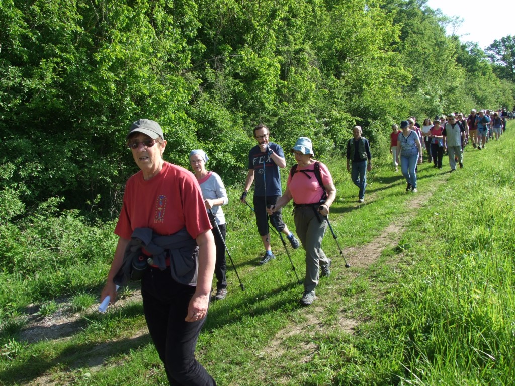 Randonnée intercommule du Val de l'Aisne 2018 (56)