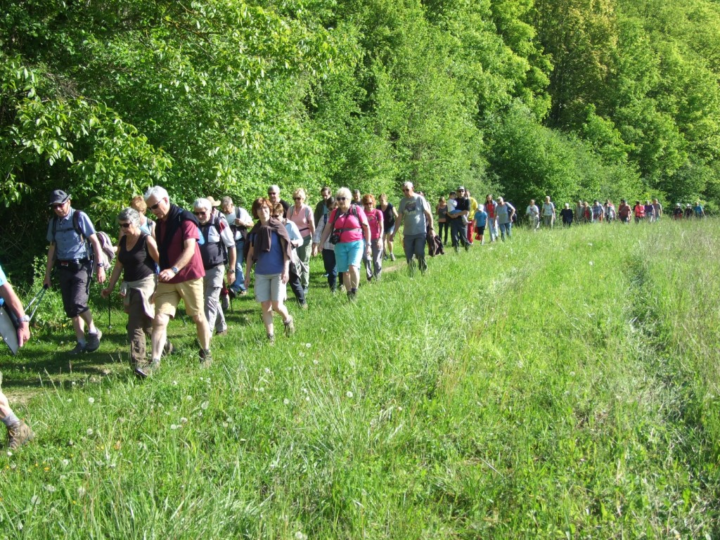 Randonnée intercommule du Val de l'Aisne 2018 (58)