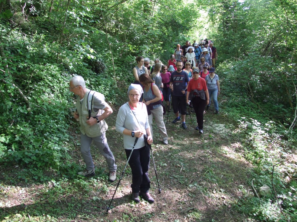 Randonnée intercommule du Val de l'Aisne 2018 (59)