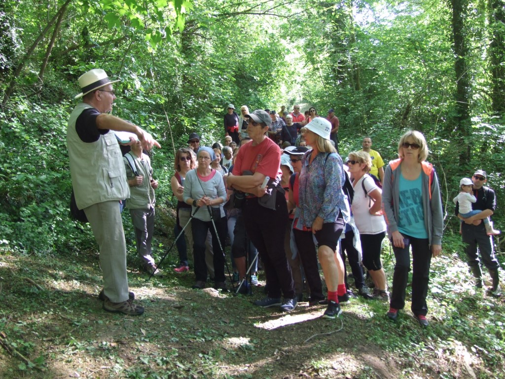 Randonnée intercommule du Val de l'Aisne 2018 (61)