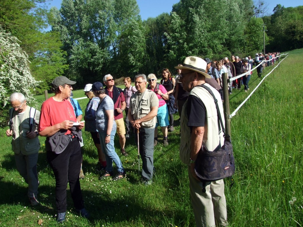 Randonnée intercommule du Val de l'Aisne 2018 (69)