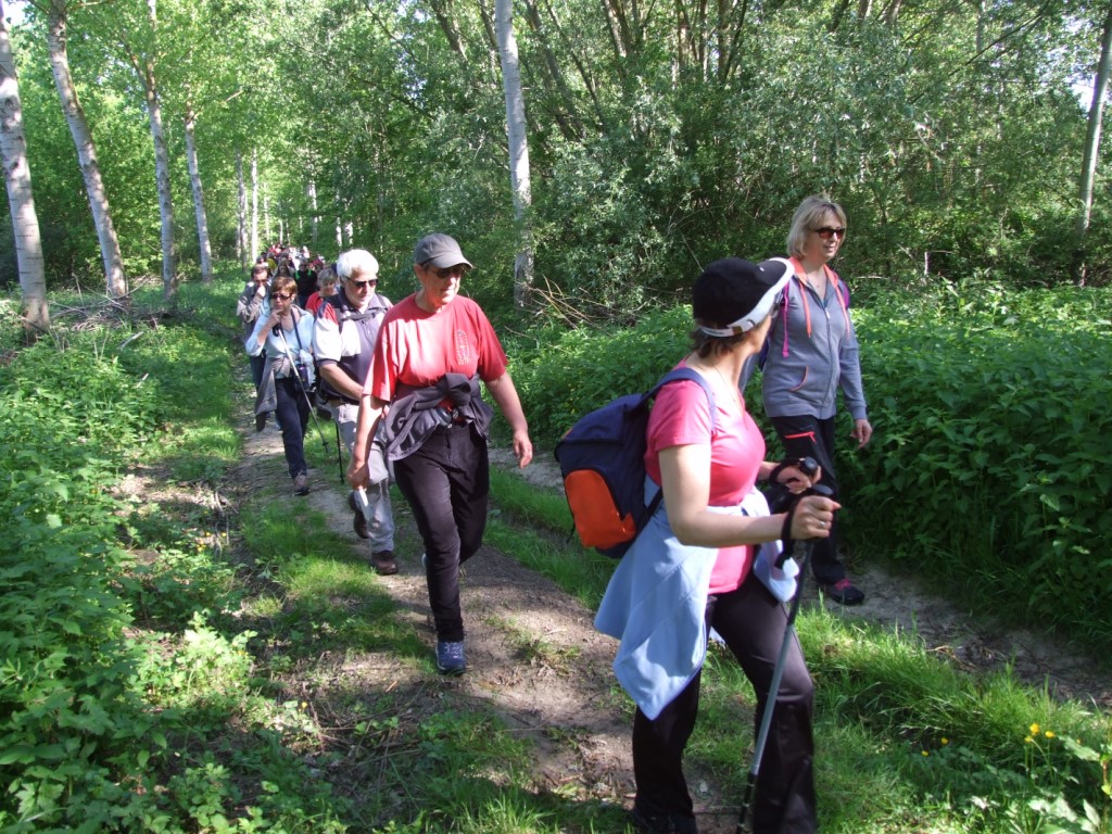 Randonnée intercommule du Val de l'Aisne 2018 (72)