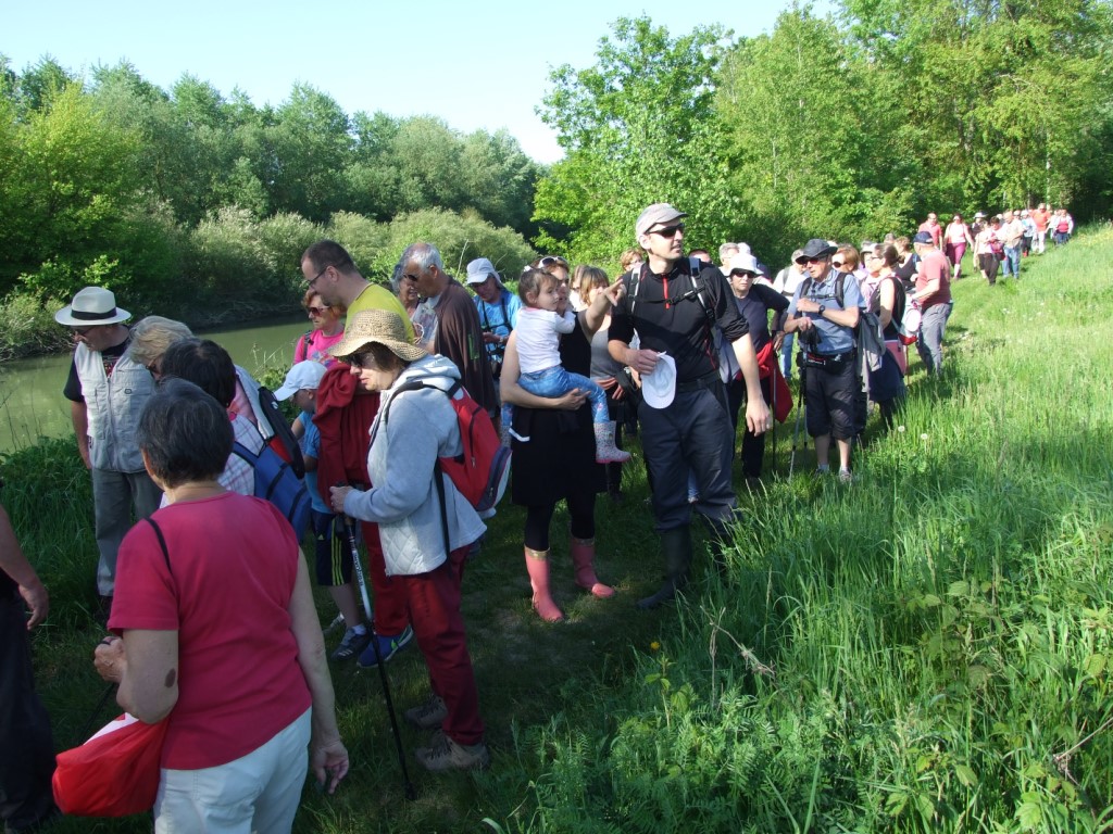 Randonnée intercommule du Val de l'Aisne 2018 (74)