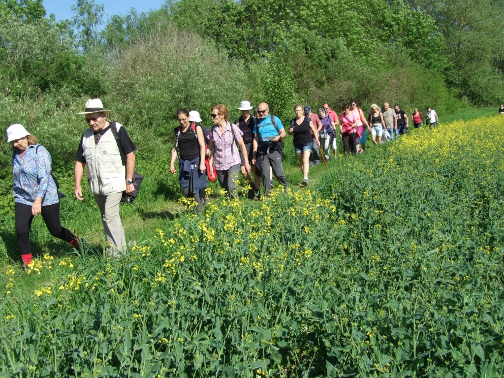 Randonnée intercommule du Val de l'Aisne 2018 (77)