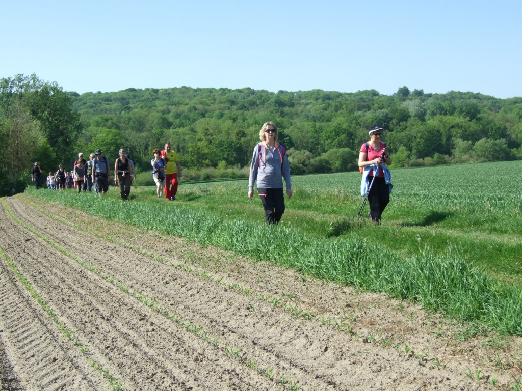 Randonnée intercommule du Val de l'Aisne 2018 (80)