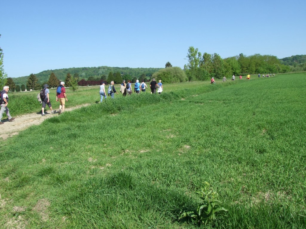 Randonnée intercommule du Val de l'Aisne 2018 (85)