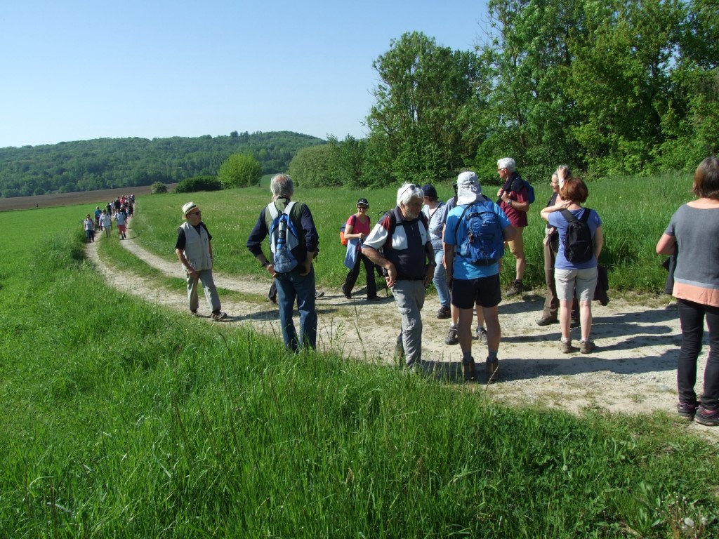 Randonnée intercommule du Val de l'Aisne 2018 (87)