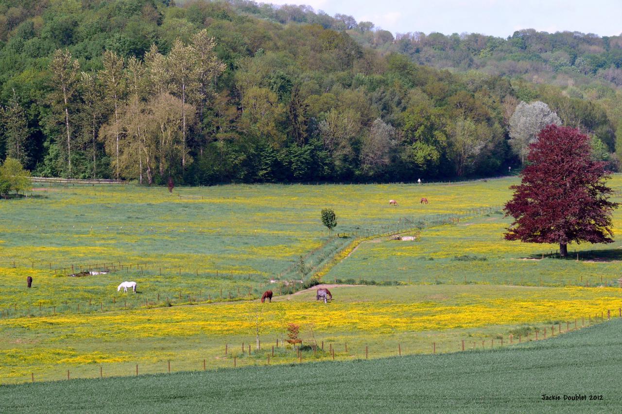 Randonnée intercommunale du val de l'aisne 13 mai 2012 (13)