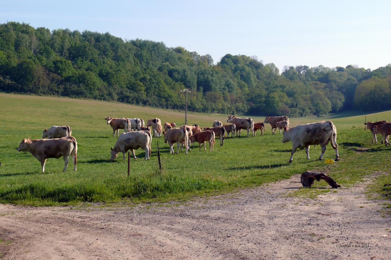 Randonnée intercommunale du val de l'Aisne Monampteuil (26)