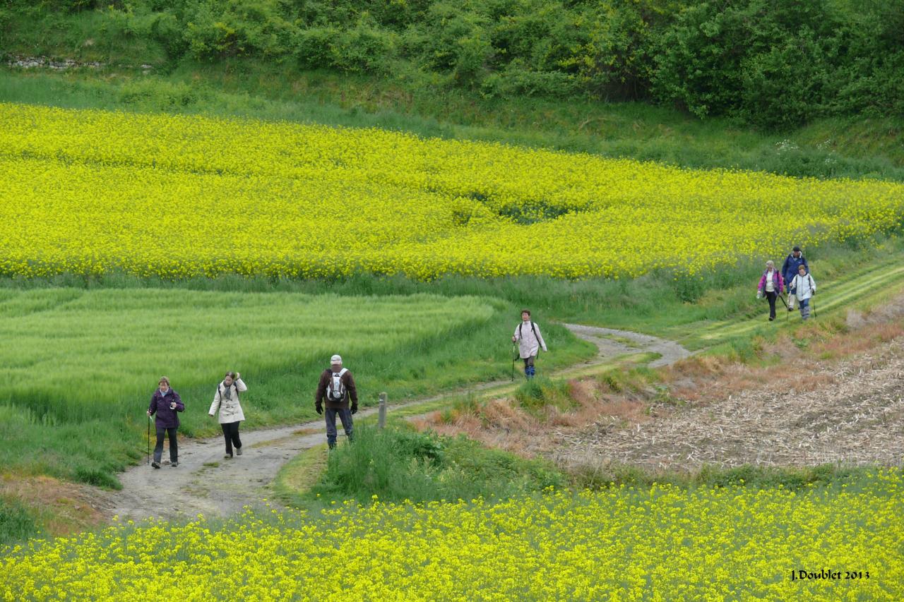 Randonnée intercommunale Serval 26 mai 2013 (103)
