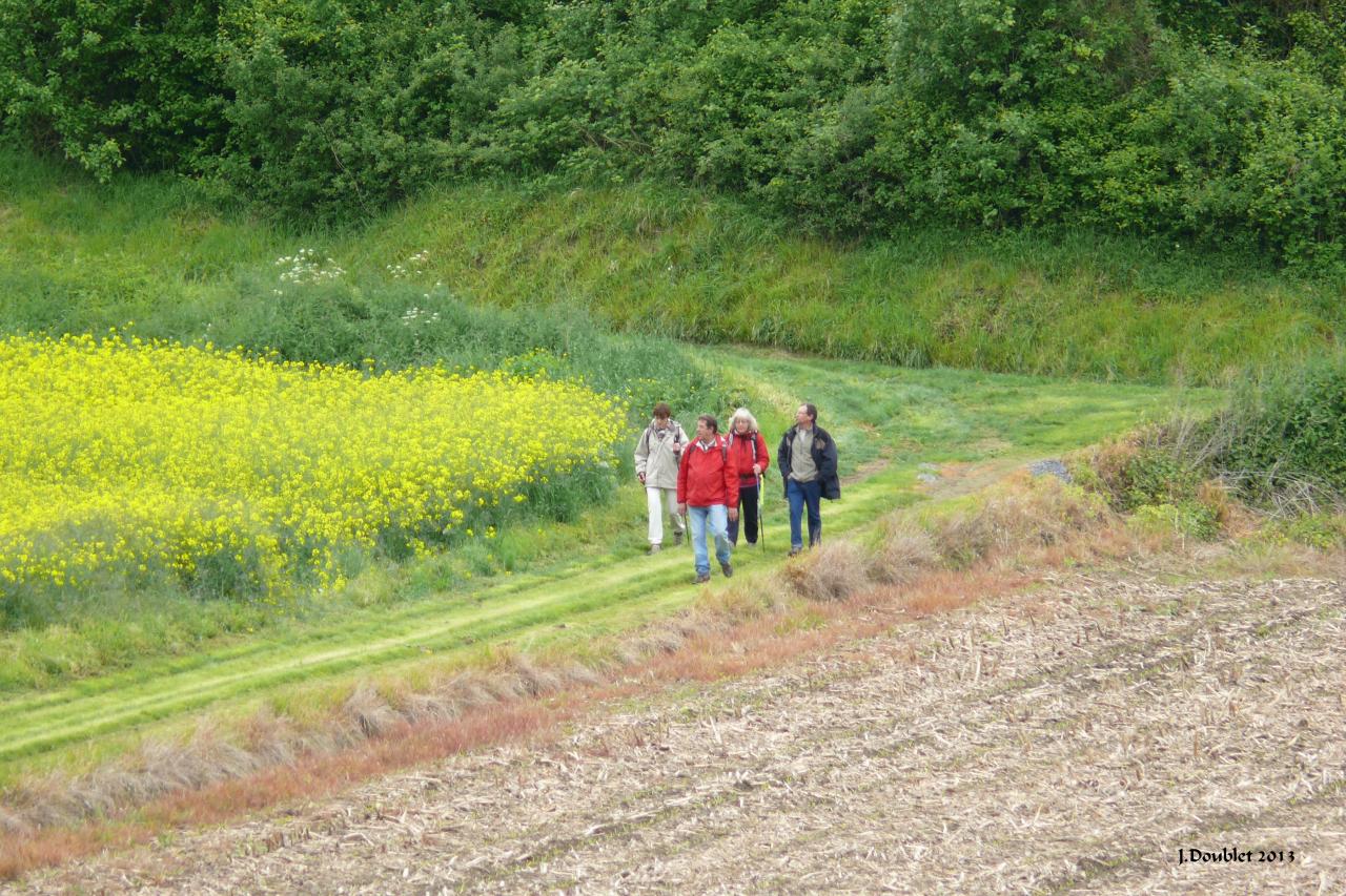 Randonnée intercommunale Serval 26 mai 2013 (112)
