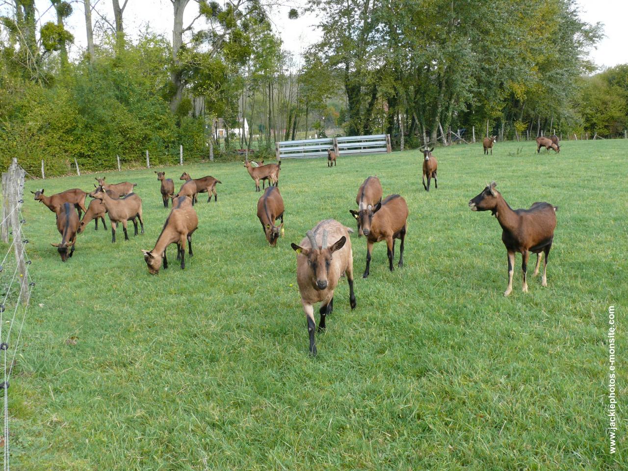 Randonnée intercommunale Serval 26 mai 2013 (2)