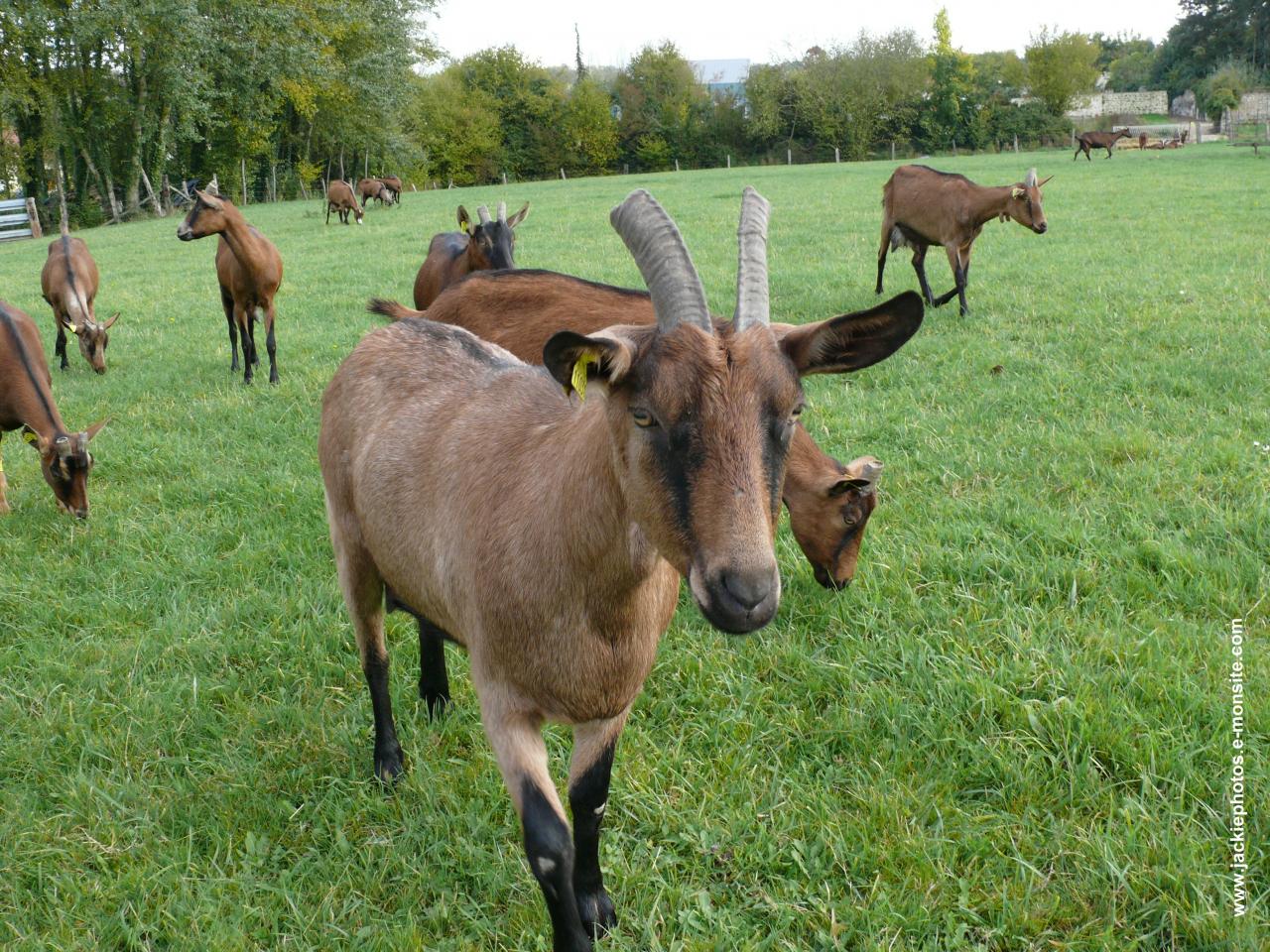 Randonnée intercommunale Serval 26 mai 2013 (3)