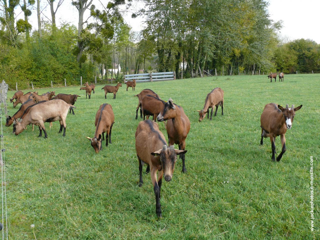 Randonnée intercommunale Serval 26 mai 2013 (4)