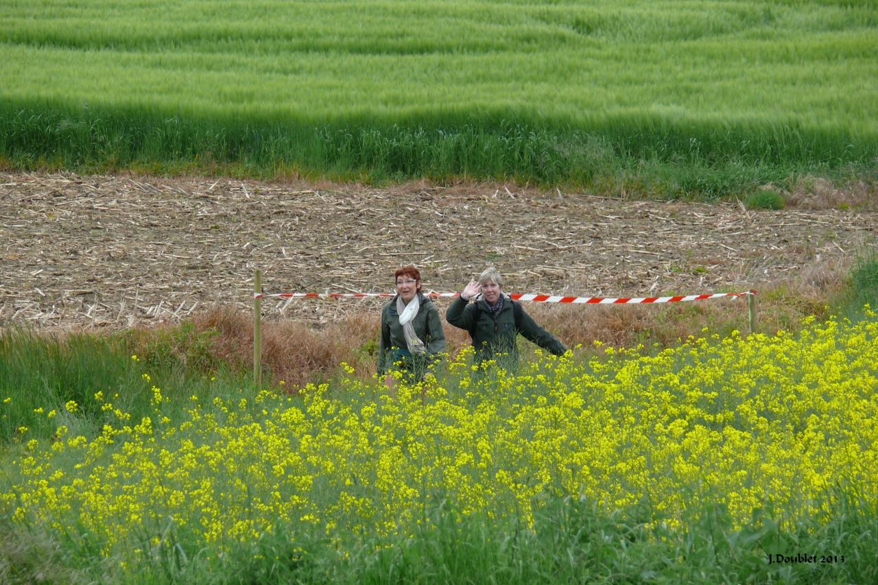 Randonnée intercommunale Serval 26 mai 2013 (92)