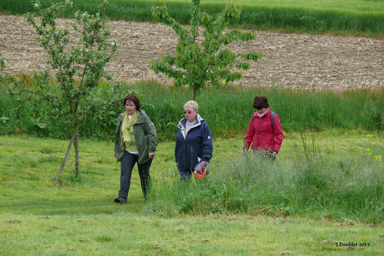 Randonnée intercommunale Serval 26 mai 2013 (98)