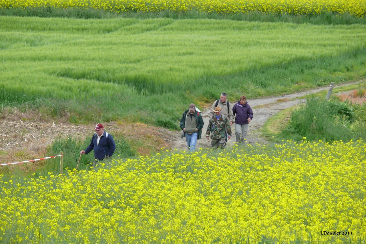 Randonnée intercommunale Serval 26 mai 2013 (99)