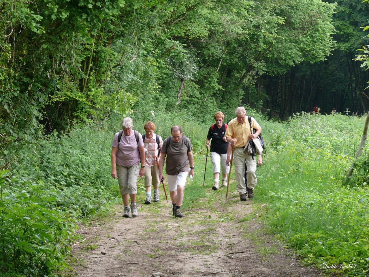 Randonnée intercommunale St Mard (42)