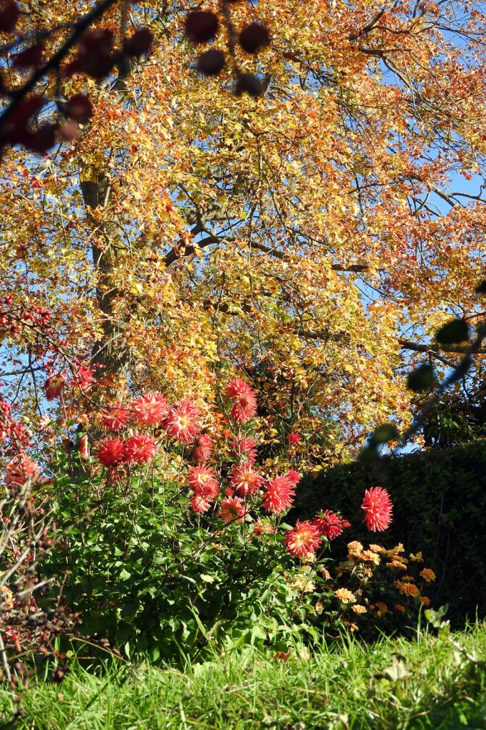 Soissons  vue de Belleu 31102016 (7)