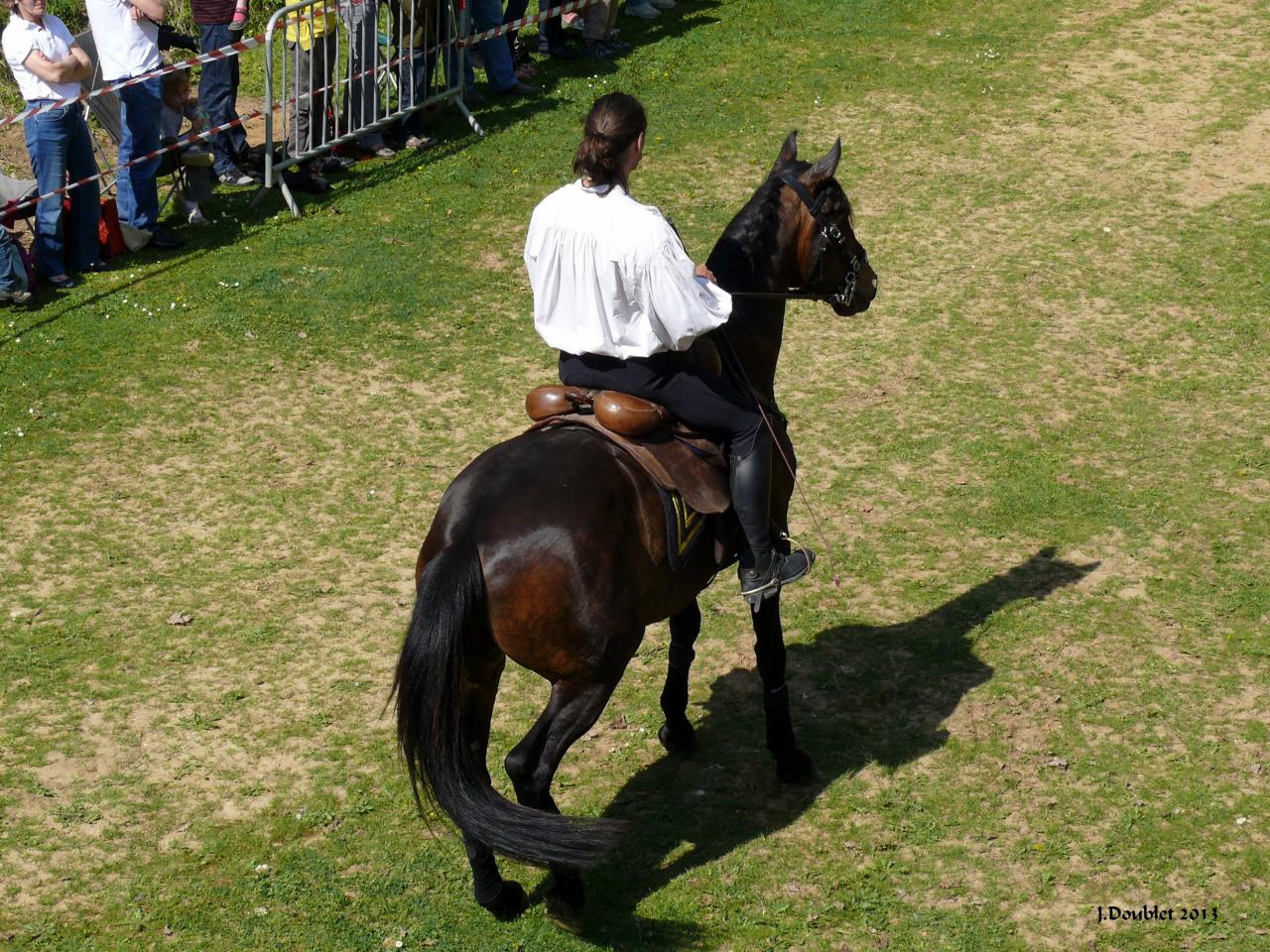 Spectacle Equestre 05052013 (22)