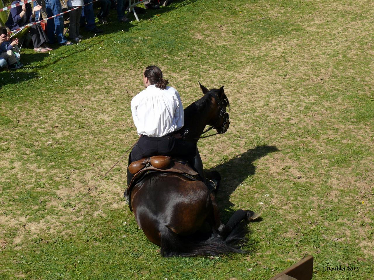 Spectacle Equestre 05052013 (35)