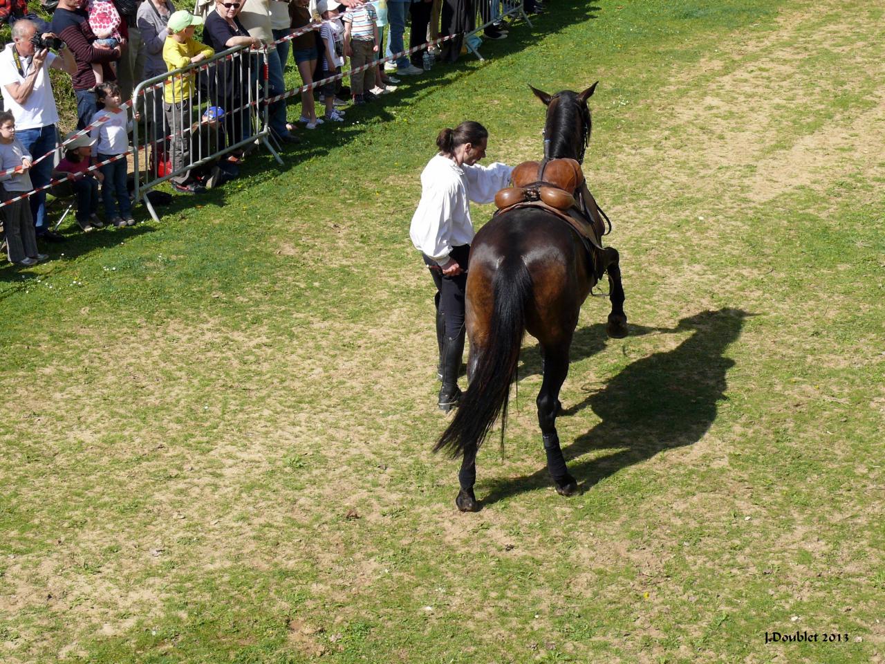 Spectacle Equestre 05052013 (36)