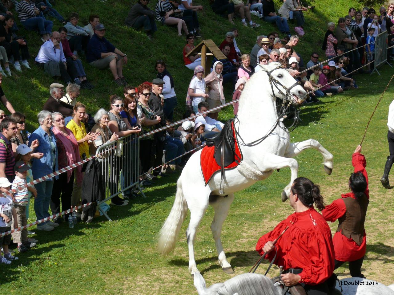 Spectacle Equestre 05052013 (37)