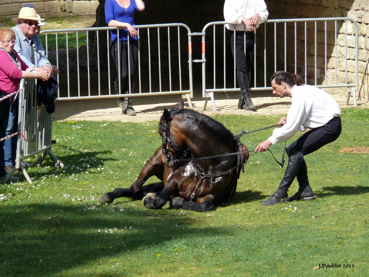 Spectacle Equestre 05052013 (38)