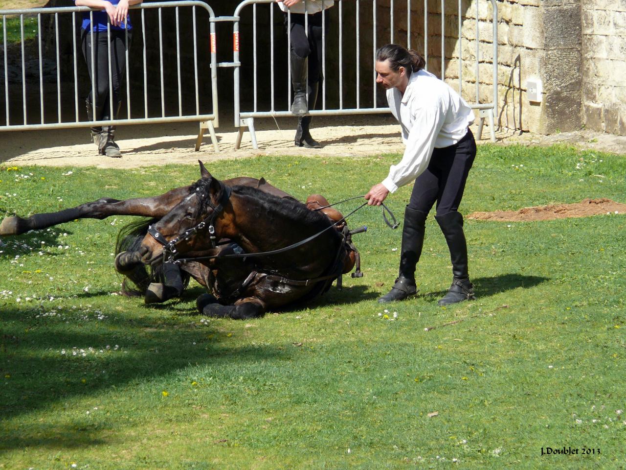 Spectacle Equestre 05052013 (39)