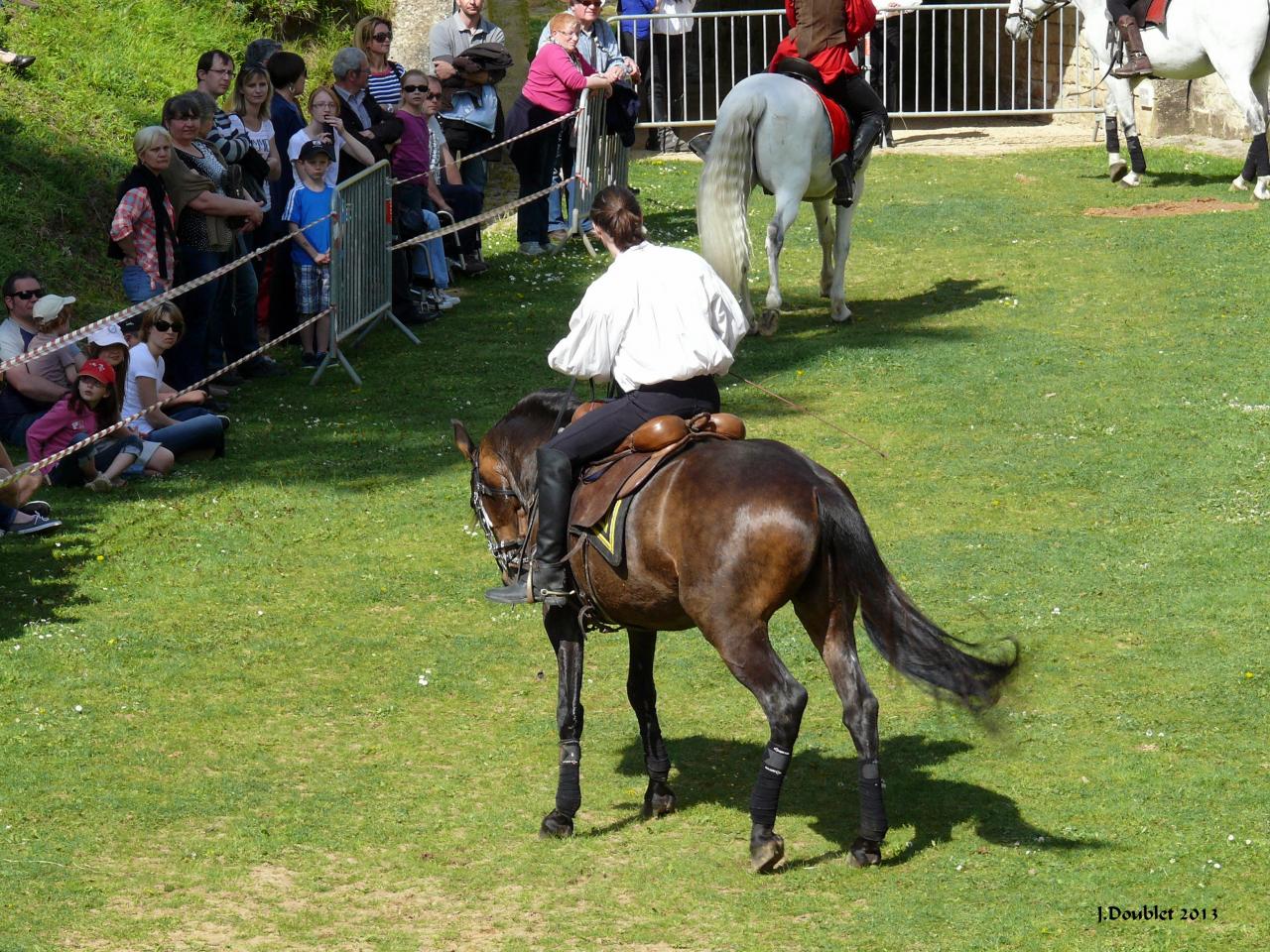 Spectacle Equestre 05052013 (41)