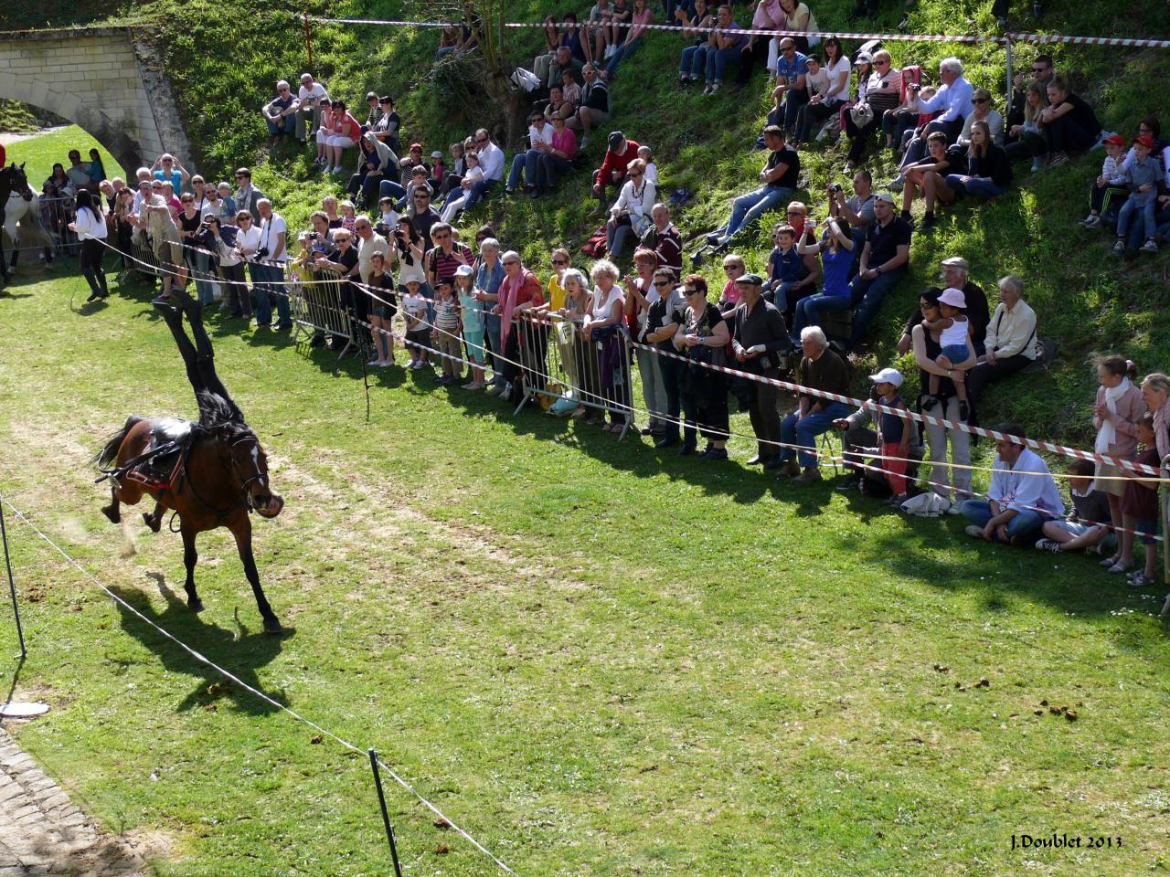 Spectacle Equestre 05052013 (44)