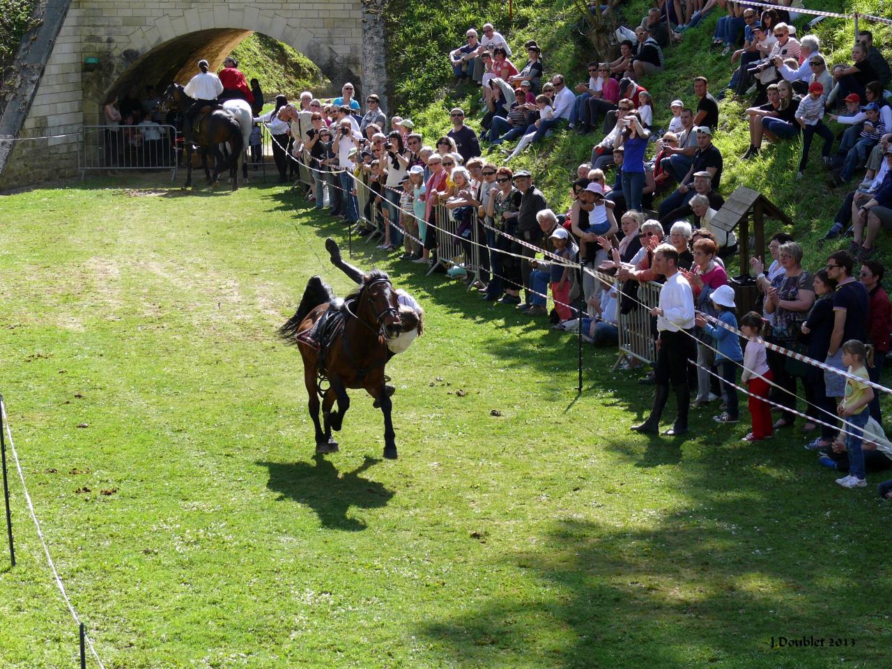 Spectacle Equestre 05052013 (51)