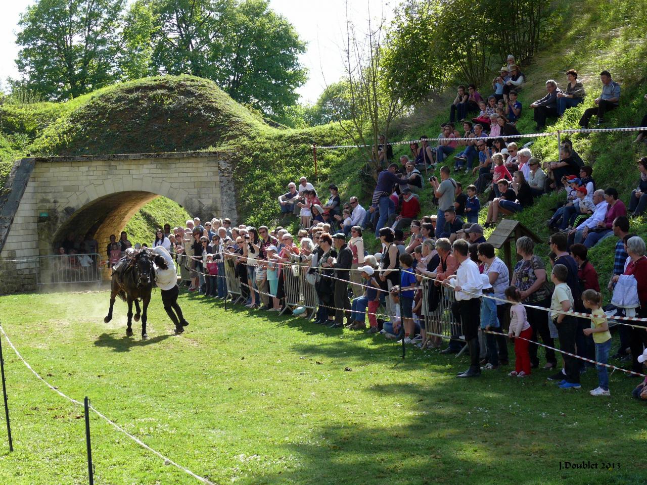 Spectacle Equestre 05052013 (73)