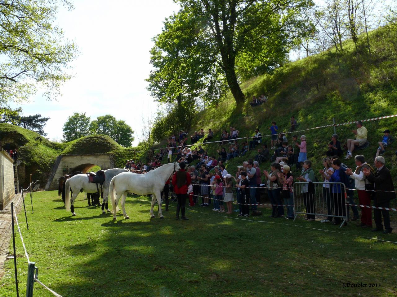 Spectacle Equestre 05052013 (79)